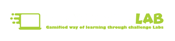 CRACK THE LAB